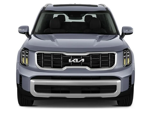 Used 2025 Panthera Metal Kia S image 5