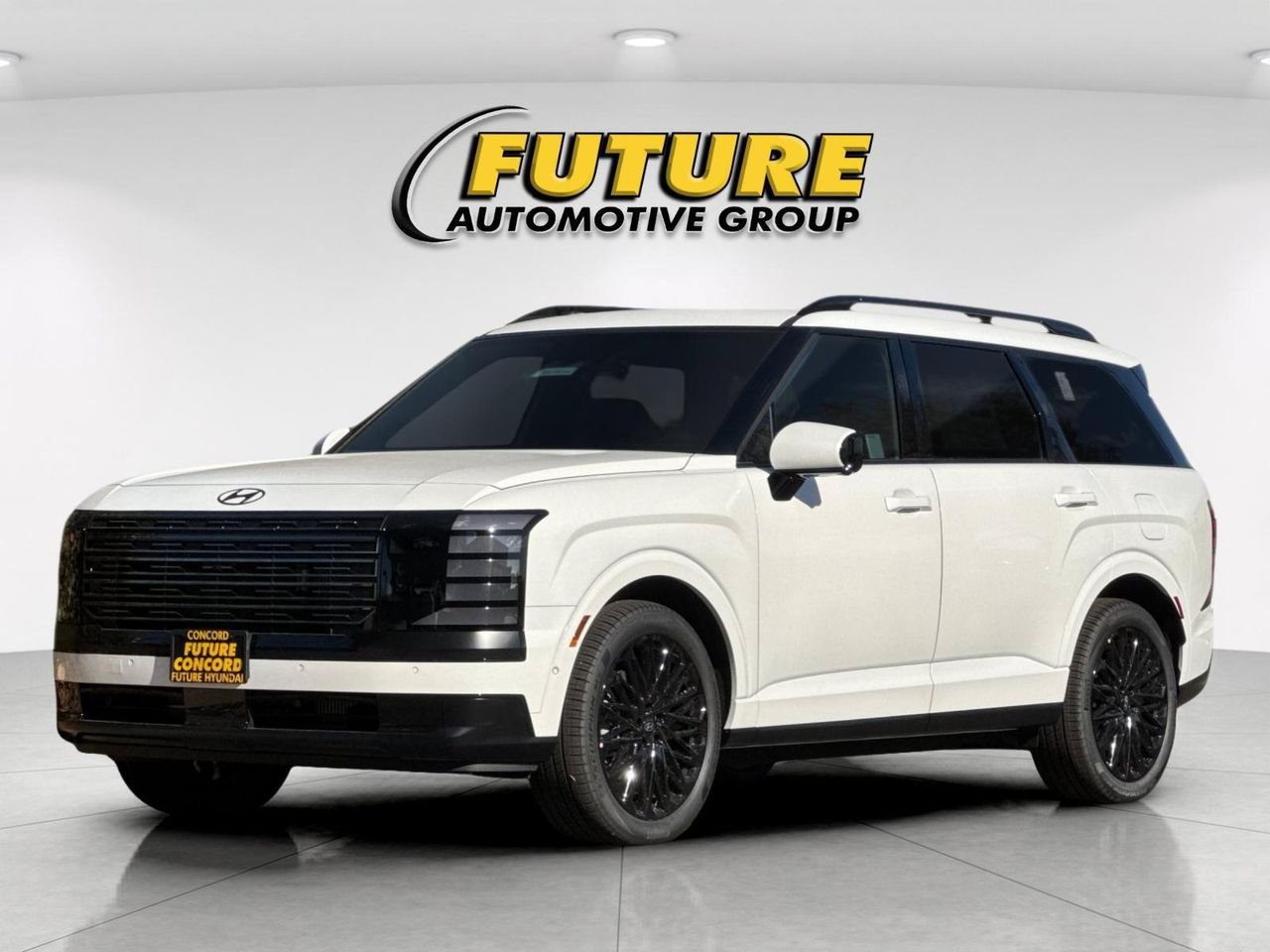 New 2027 White Hyundai Calligraphy Black Ink image 7