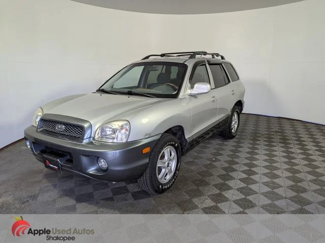 Used 2004 Silver Hyundai GLS image 3