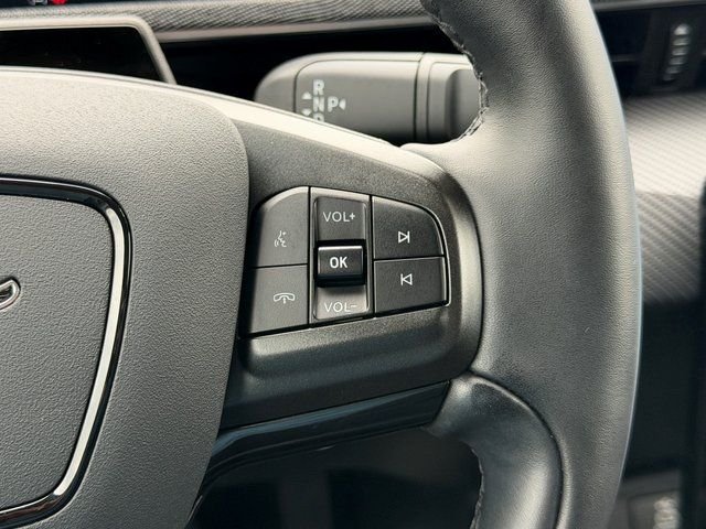 Used 2025 Beige Ford Premium image 16