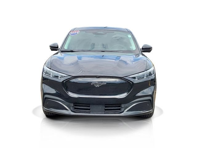 Certified 2024 Ford Mustang Mach-E Premium AWD with VIN 3FMTK3SU8RMA44116 for sale in Ann Arbor, MI