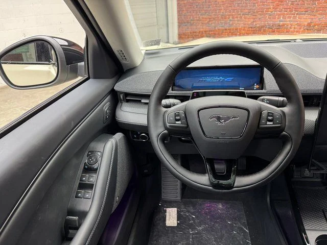 New 2025 Beige Ford Premium image 14