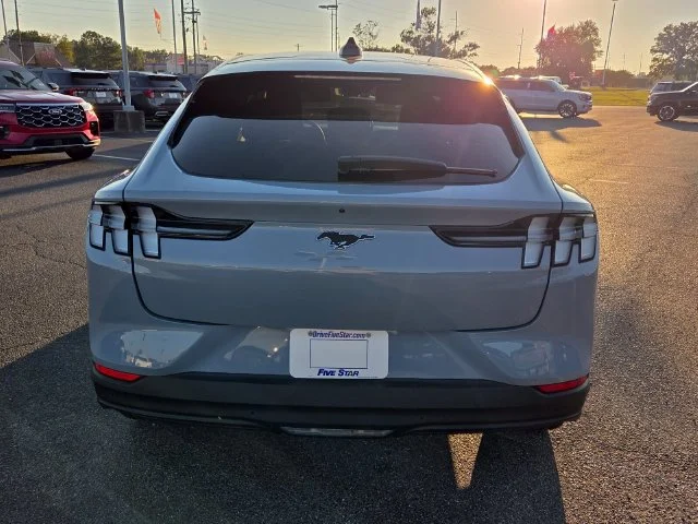 New 2026 Glacier Gray Metallic Tri-coat Ford Premium image 6
