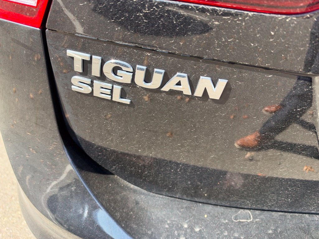 Used 2019 Black Volkswagen  image 6