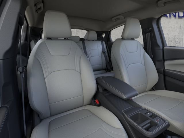 New 2026 Shadow Black Ford Premium image 11