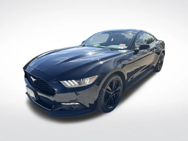 Used 2016 Black Ford EcoBoost Premium image 5