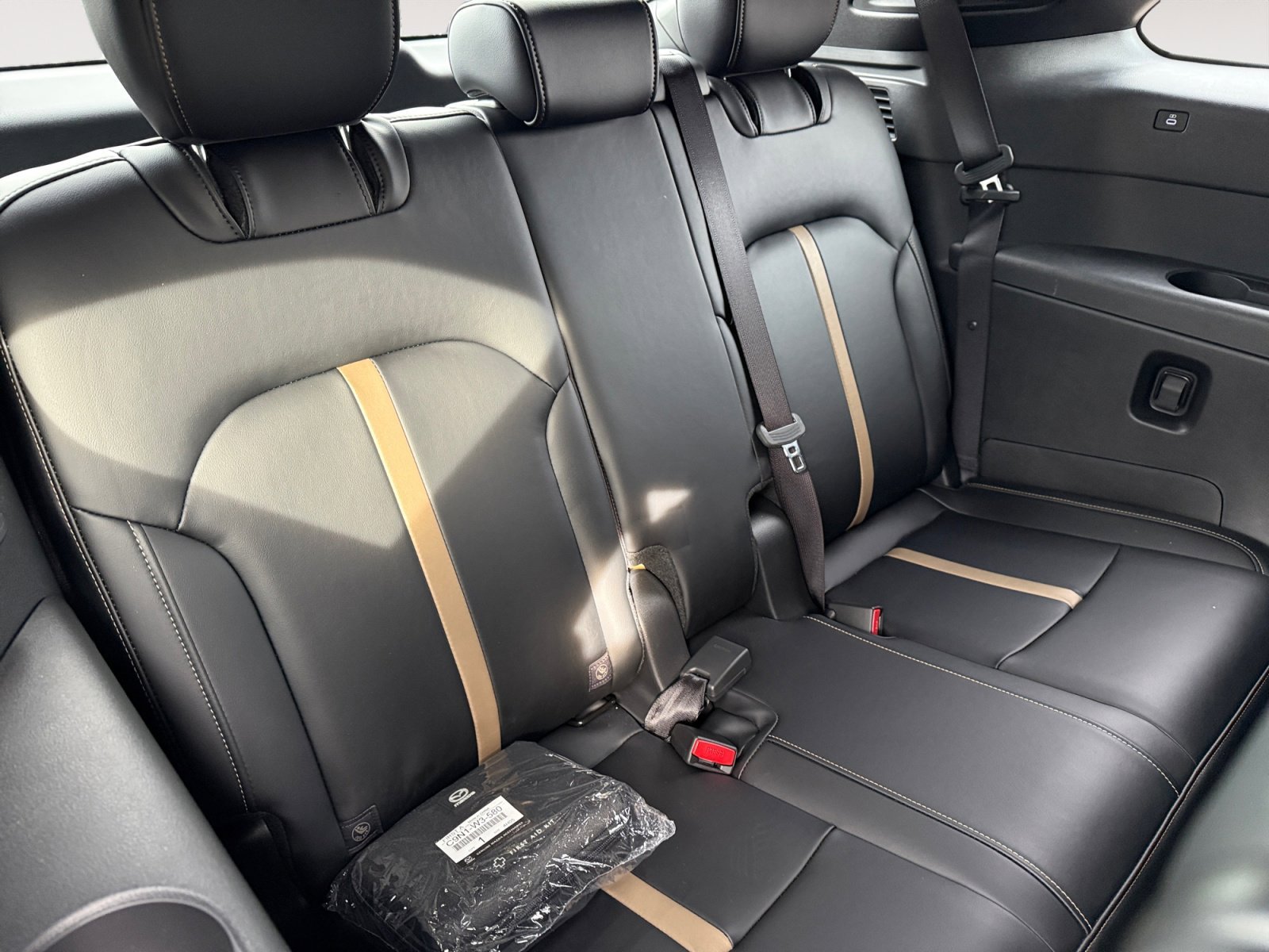 2025 Mazda CX-90 Premium Package - Photo 18