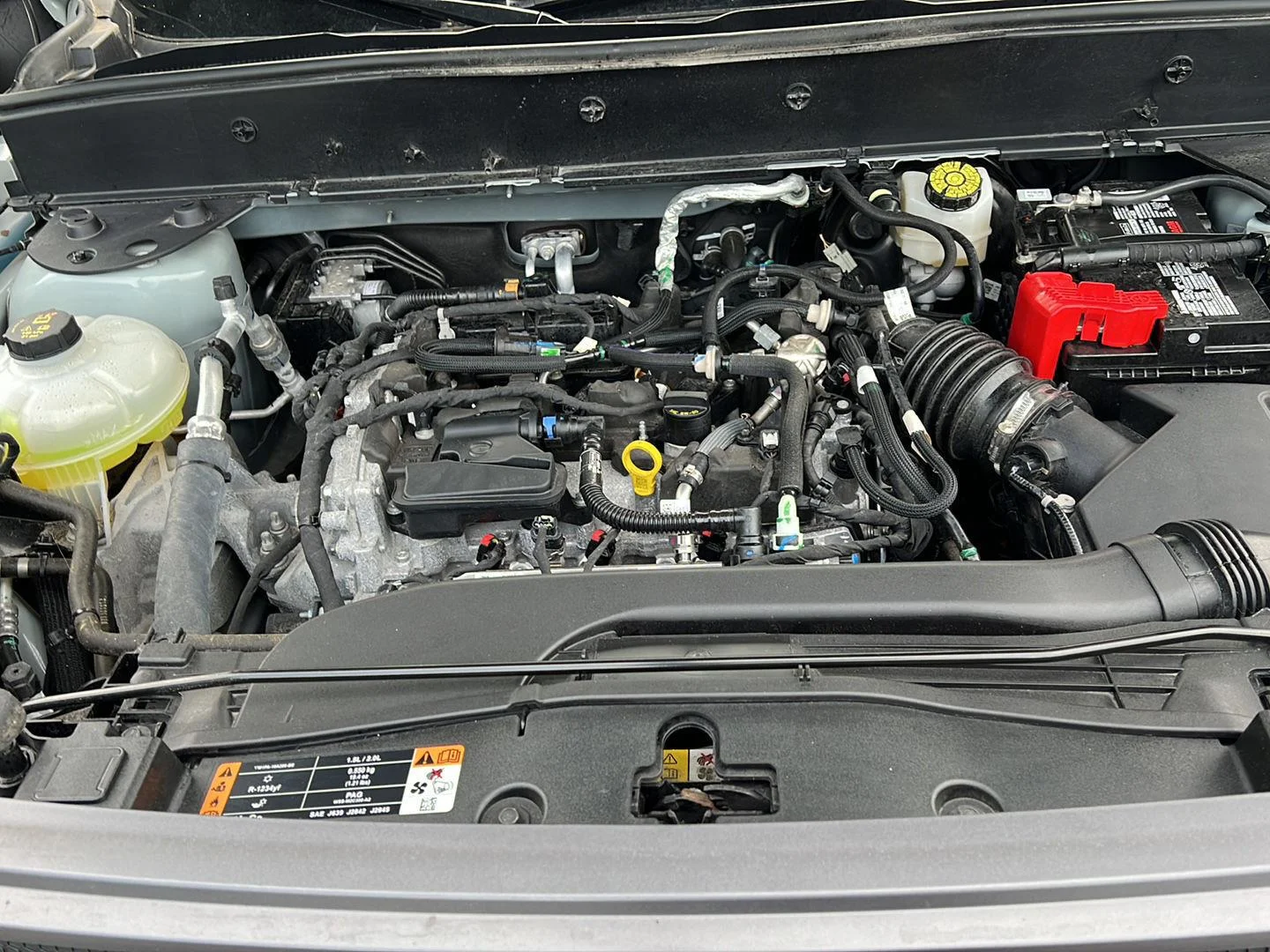 Used 2024 Cactus Gray Ford Big Bend image 28