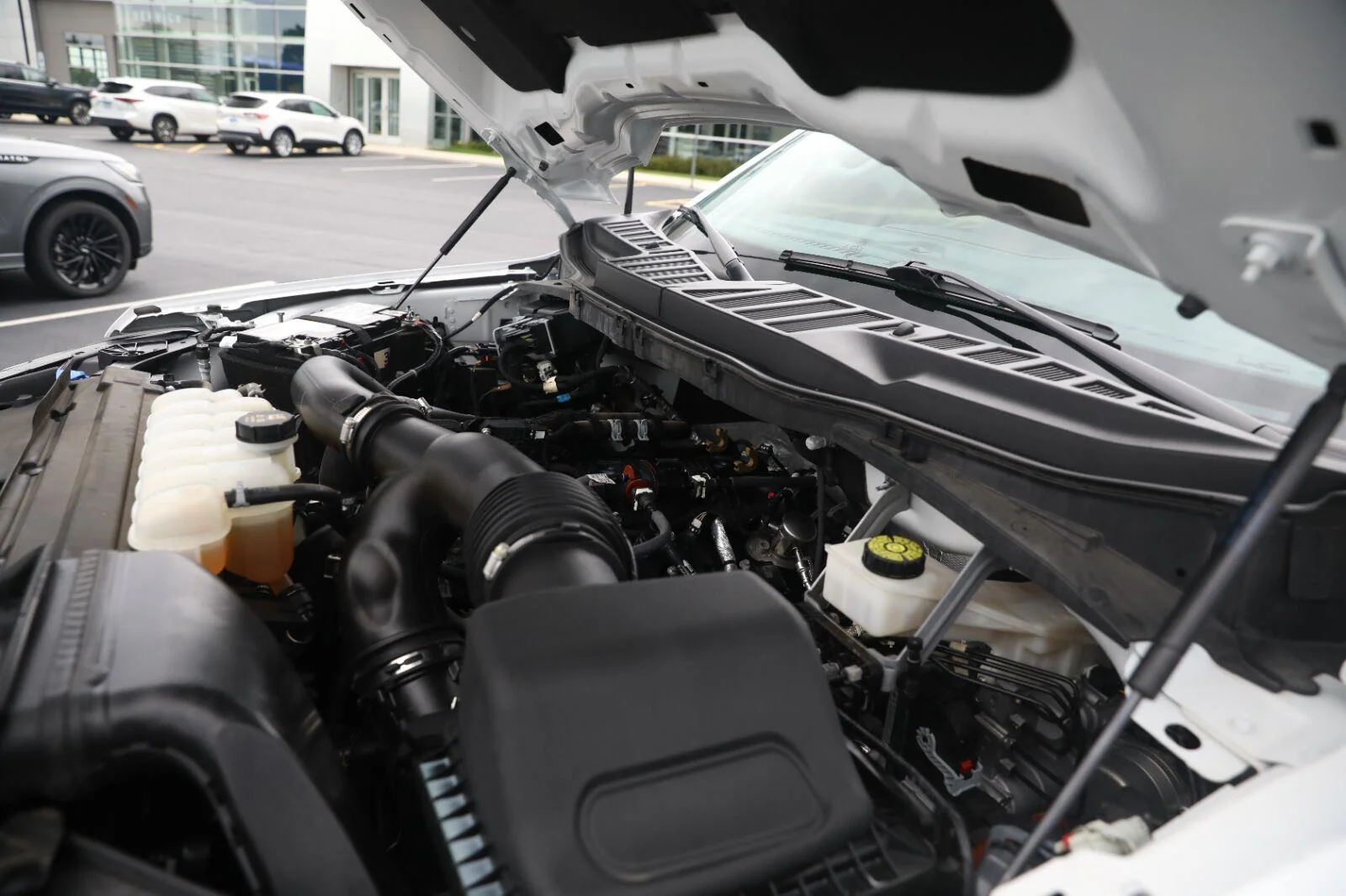 Certified Used 2024 Oxford White Ford XLT image 51