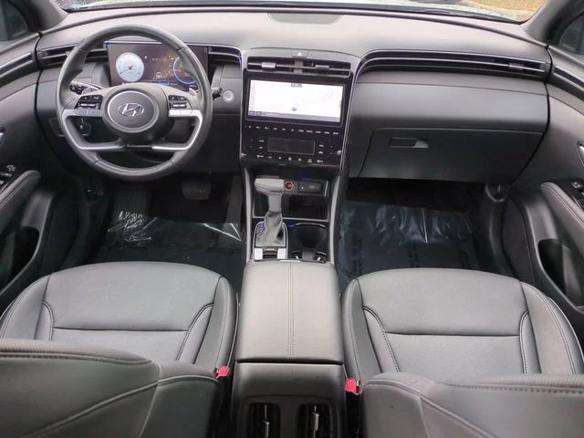 View 15