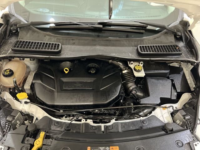 Used 2019 White Ford Titanium image 26