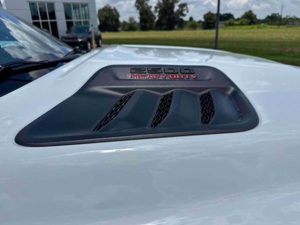 New 2026 Bright White Clear-Coat Exterior Paint RAM Black Express image 3