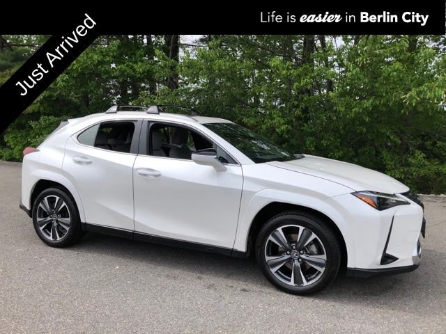 2024 Lexus UX 300h 250h Premium AWD's photo