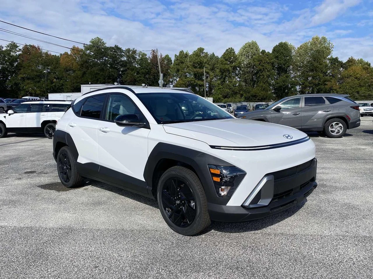 New Hyundai Crossovers & SUVs for Sale in Auburn, AL
