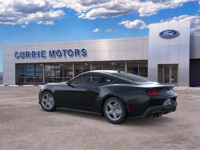 New 2026 Shadow Black Ford EcoBoost image 4