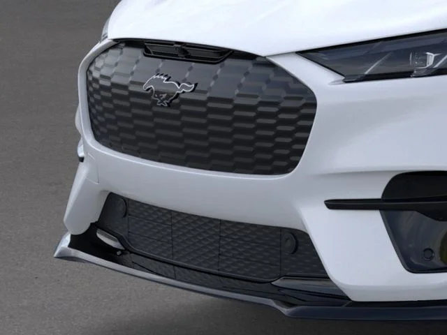 2025 Ford Mustang Mach-E GT - Photo 17