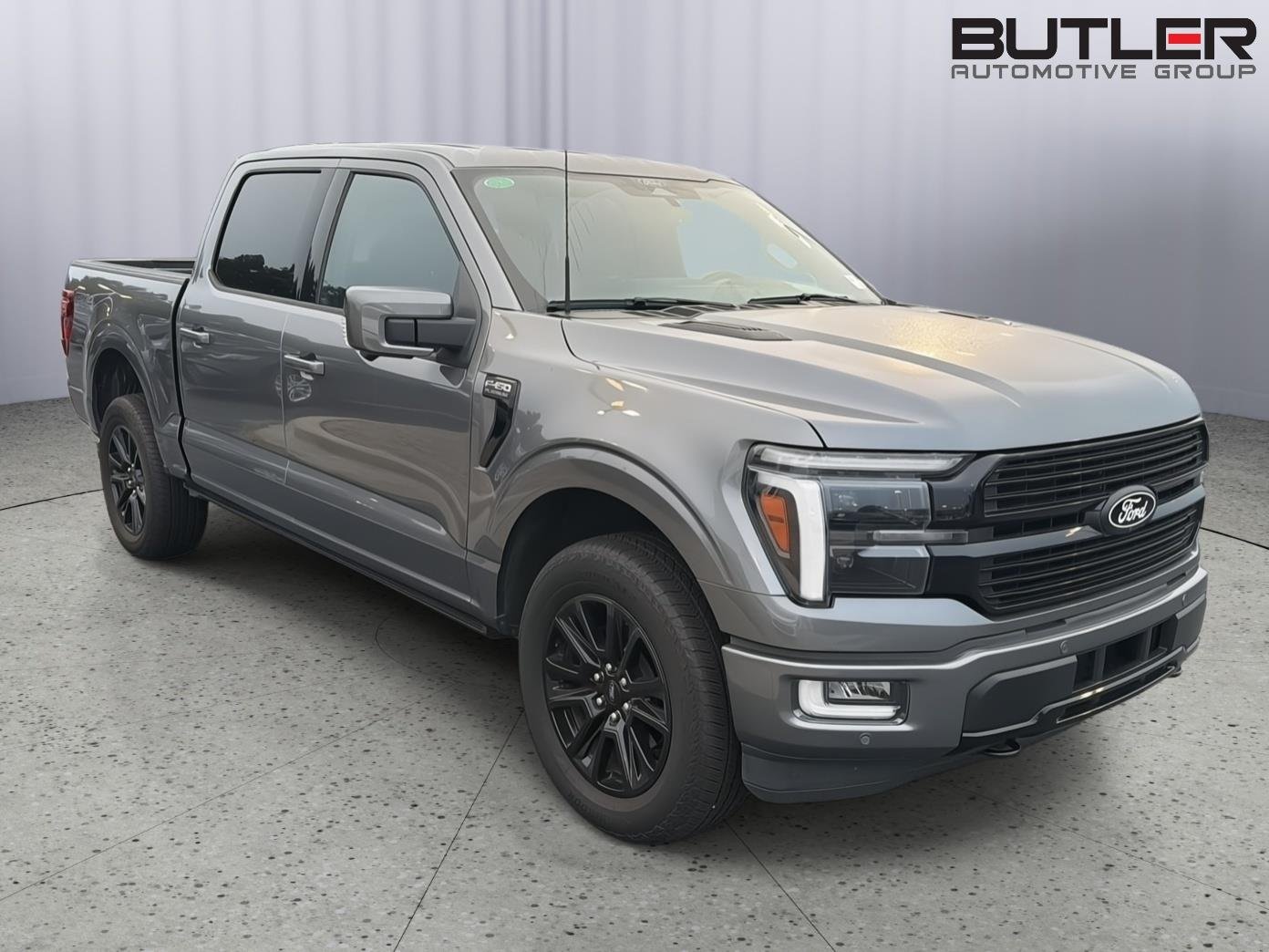 2024 Ford F-150 Platinum - Photo 8