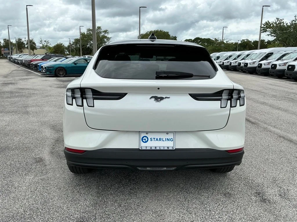 Used 2025 White Ford Premium image 13