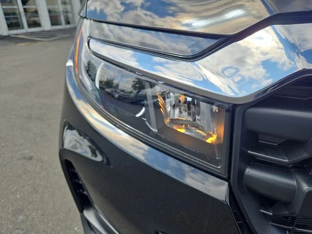 New 2026  Honda RTL image 9