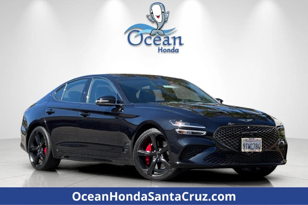 Used 2026 Vik Black Genesis 3.3T Sport Prestige image 1