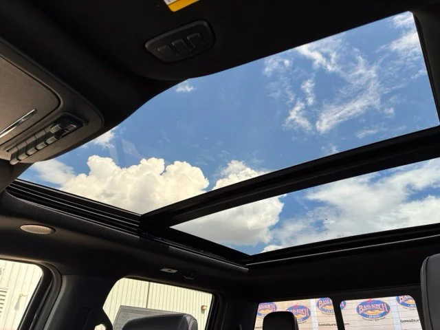 New 2026 Carbonized Gray Metallic Ford Raptor image 16