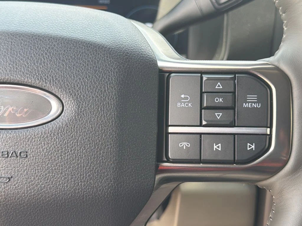 New 2026 Gray Ford Platinum image 25