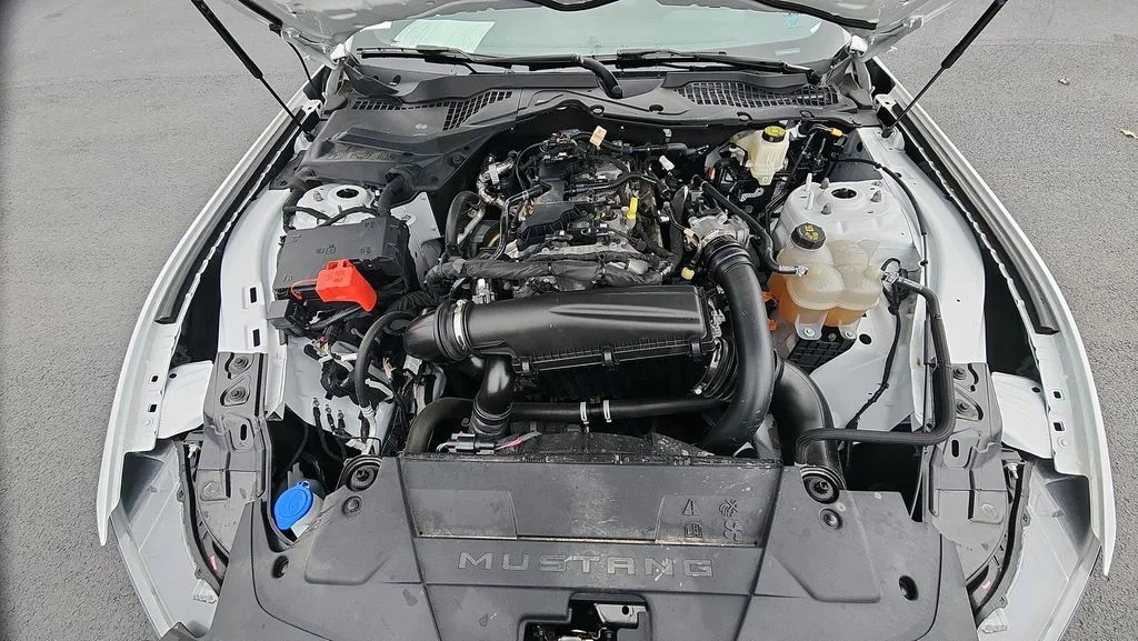 Used 2024 White Ford EcoBoost image 29