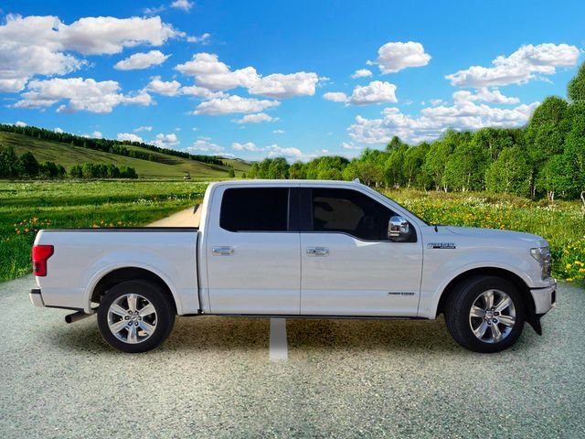 Used 2018 White Ford Platinum image 2
