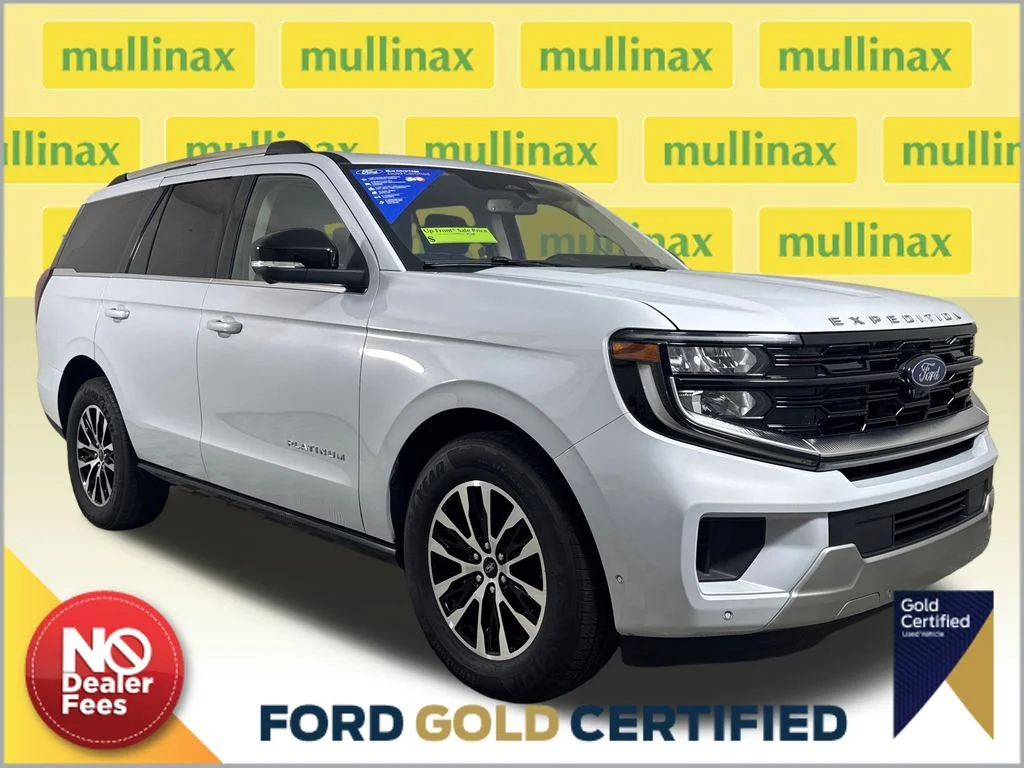 2025 Ford Expedition Platinum 4x4's photo