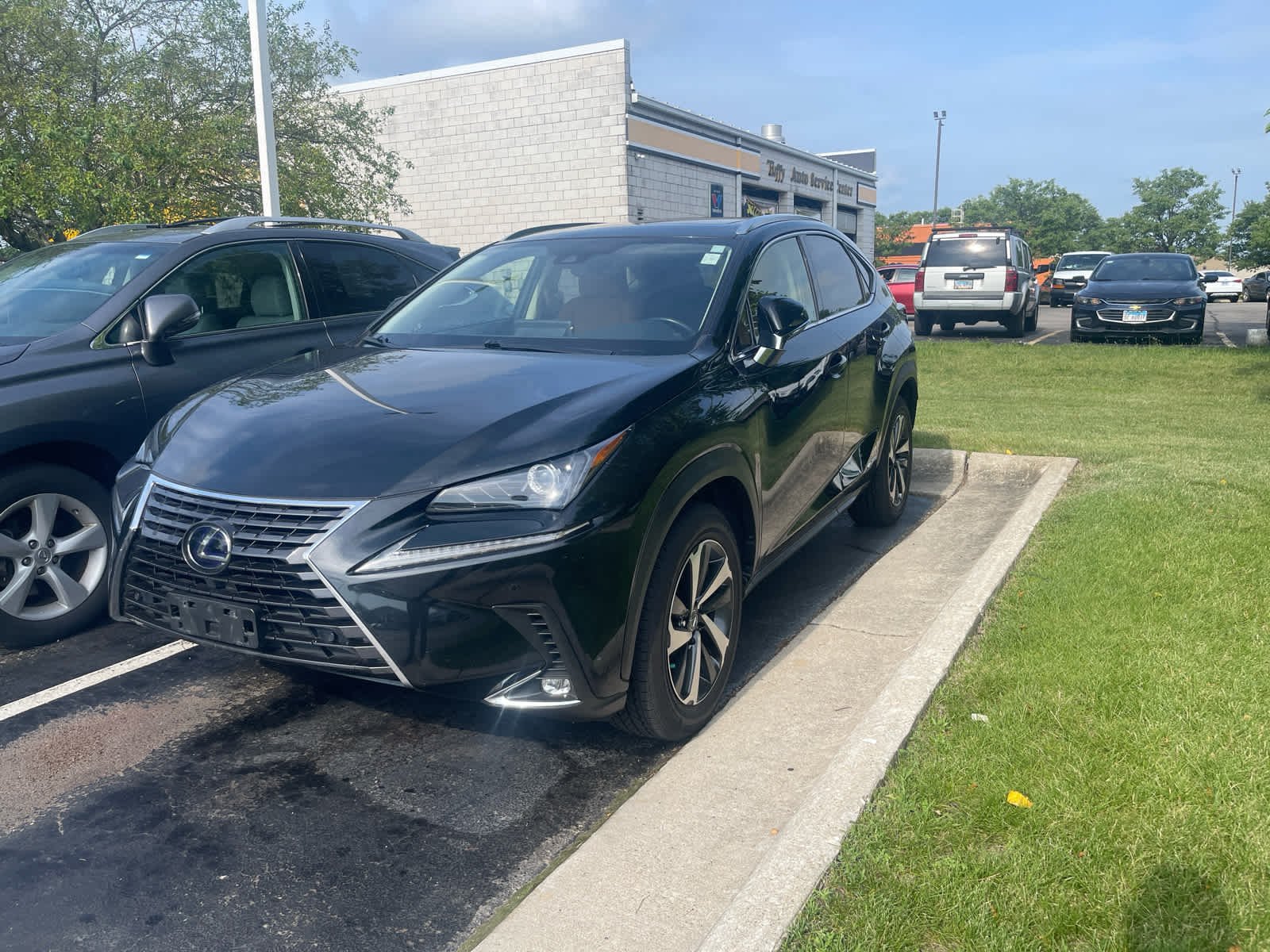 2020 Lexus NX 350h 300h AWD's photo
