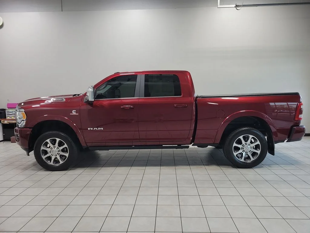 Used 2024 Red Ram Longhorn image 9