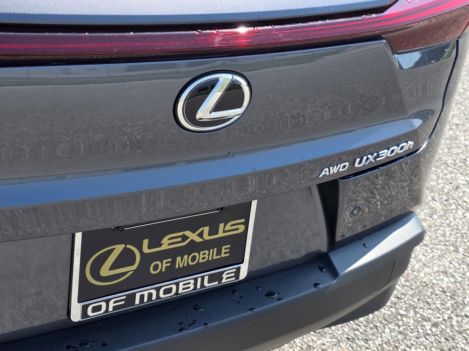 Used 2025 Gray Lexus 300h Premium image 34