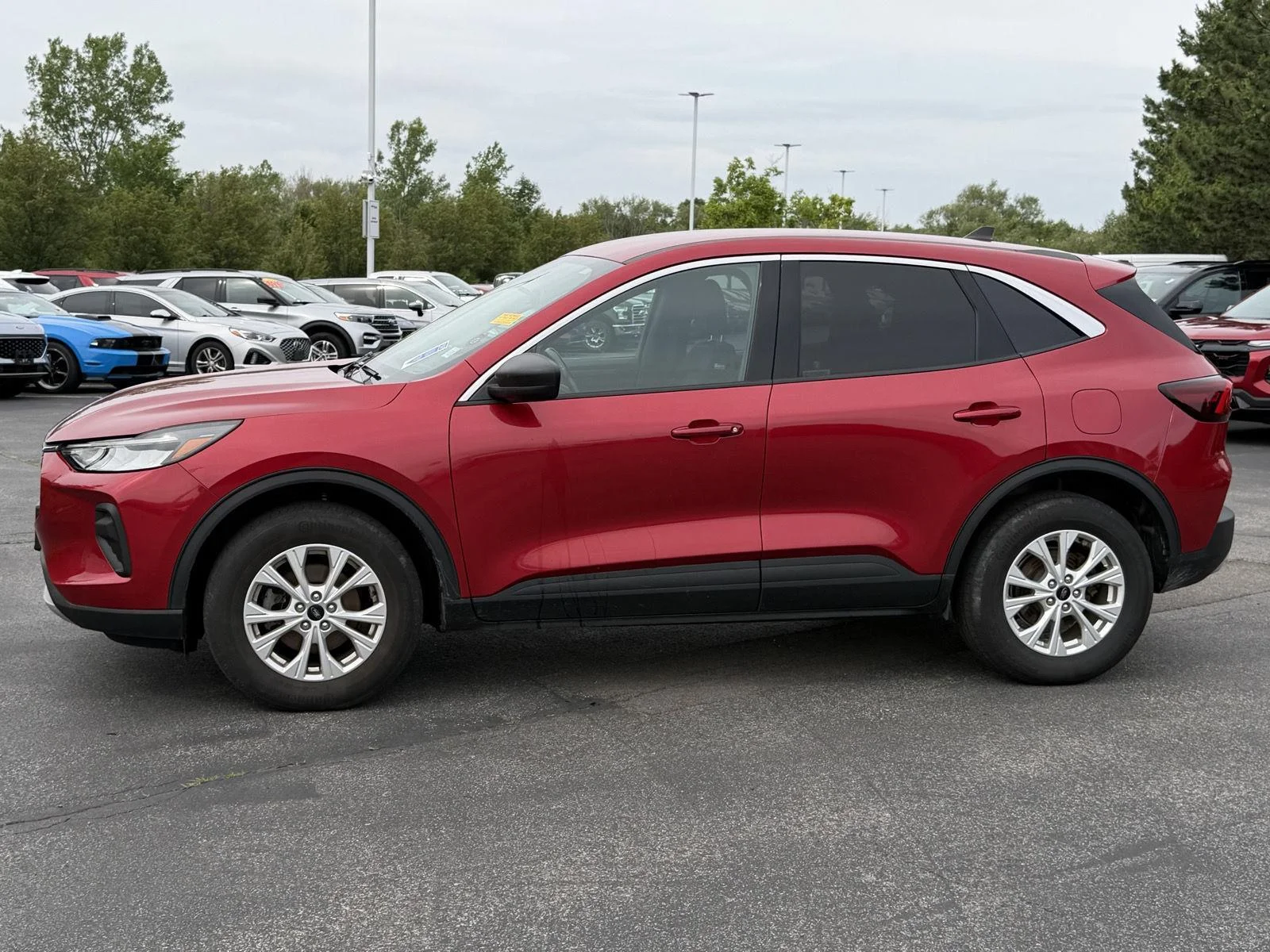 Used 2023 Rapid Red Metallic Tinted Clearcoat Ford Active image 4