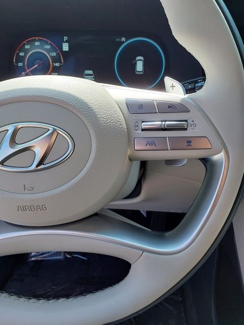 2025 Hyundai Palisade Calligraphy - Photo 27