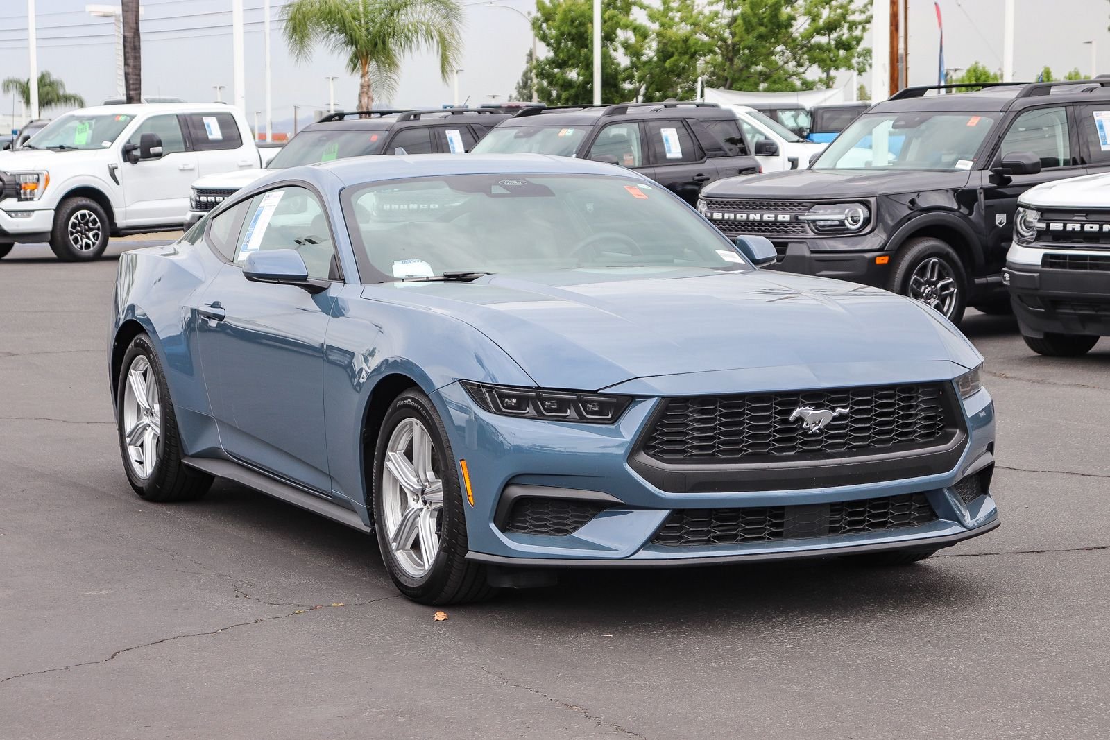 Used 2026 Vapor Blue Ford EcoBoost image 3