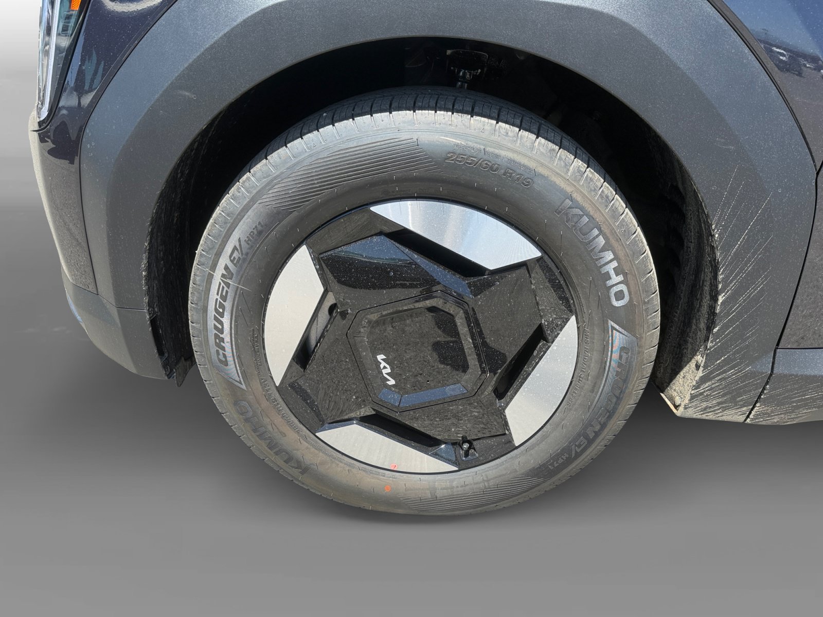 New 2026 Panthera Metal Kia Light RWD image 9