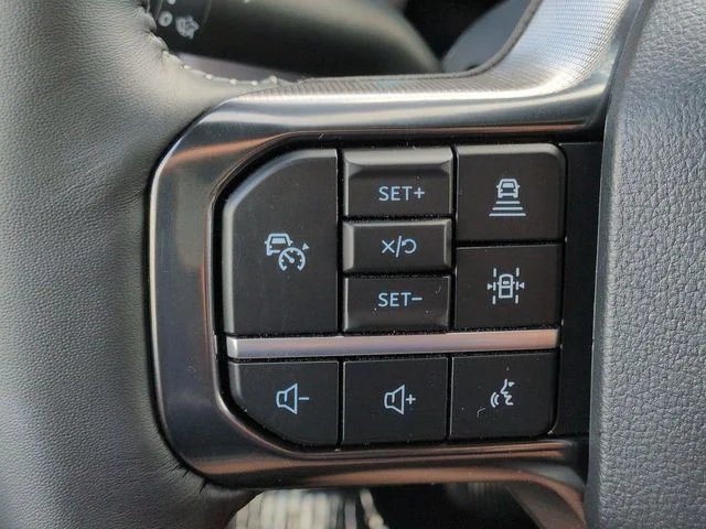 New 2026 Silver Ford Platinum image 25