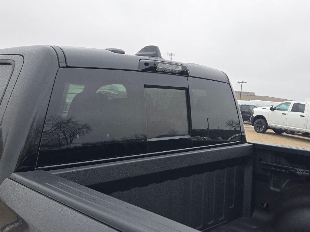 New 2026 Diamond Black Crystal Pearl-Coat Exterior Paint RAM RHO image 20