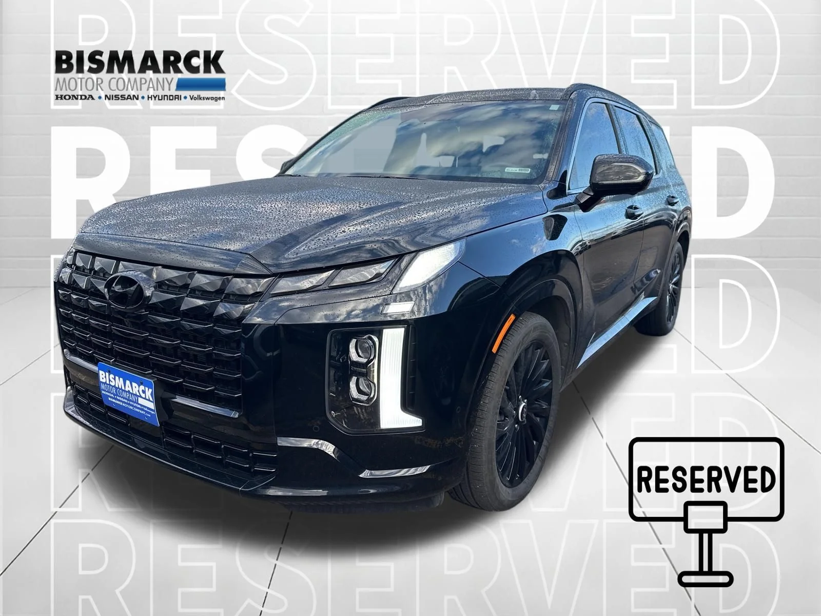 2025 Hyundai Palisade Calligraphy Night Edition AWD's photo