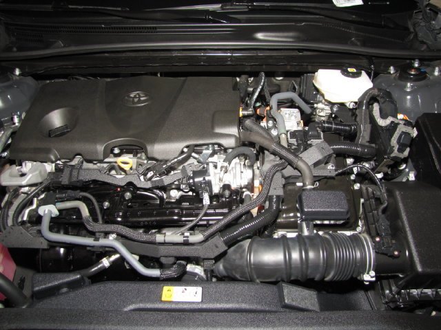 Photo 22
