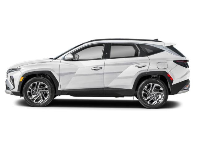 Used 2025 Creamy White Pearl Hyundai Limited image 3