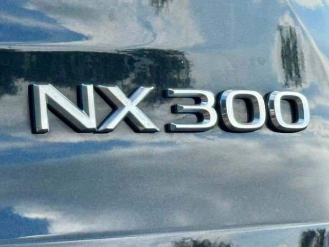 Used 2021 Black Lexus 300 Base image 15