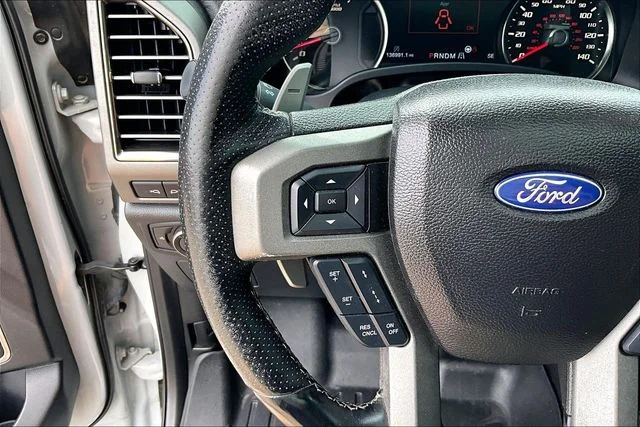 Used 2017 White Ford Raptor image 16