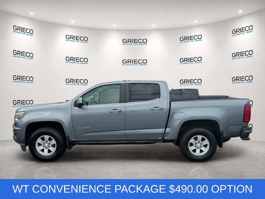 Used 2019 Gray Chevrolet Work Truck image 4