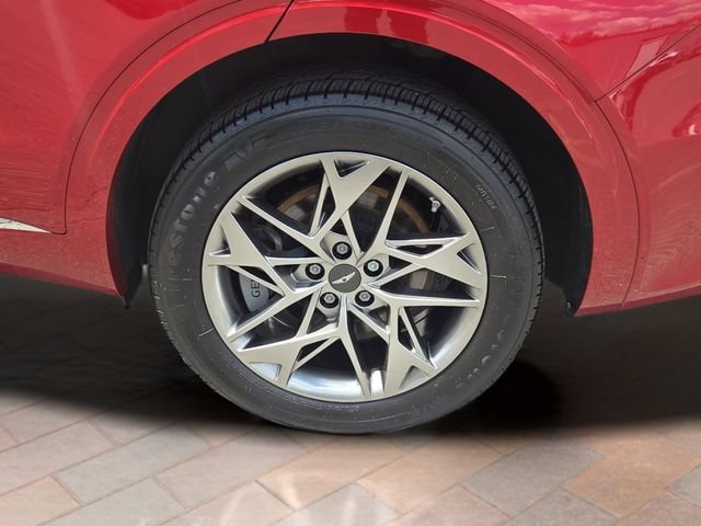 Used 2024 Red Genesis 2.5T image 29