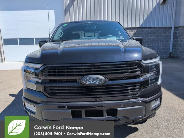 New 2026 Black Metallic Ford Platinum image 8
