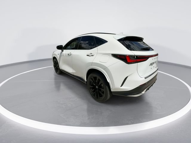 2024 Lexus NX 350 - Photo 6