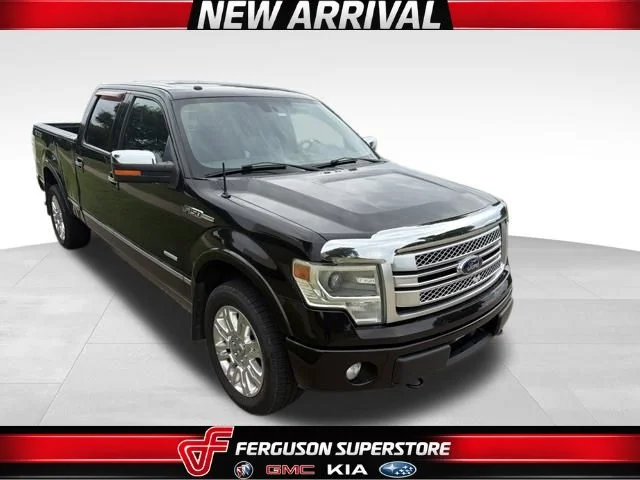 Used 2013 Brown Ford Platinum image 1