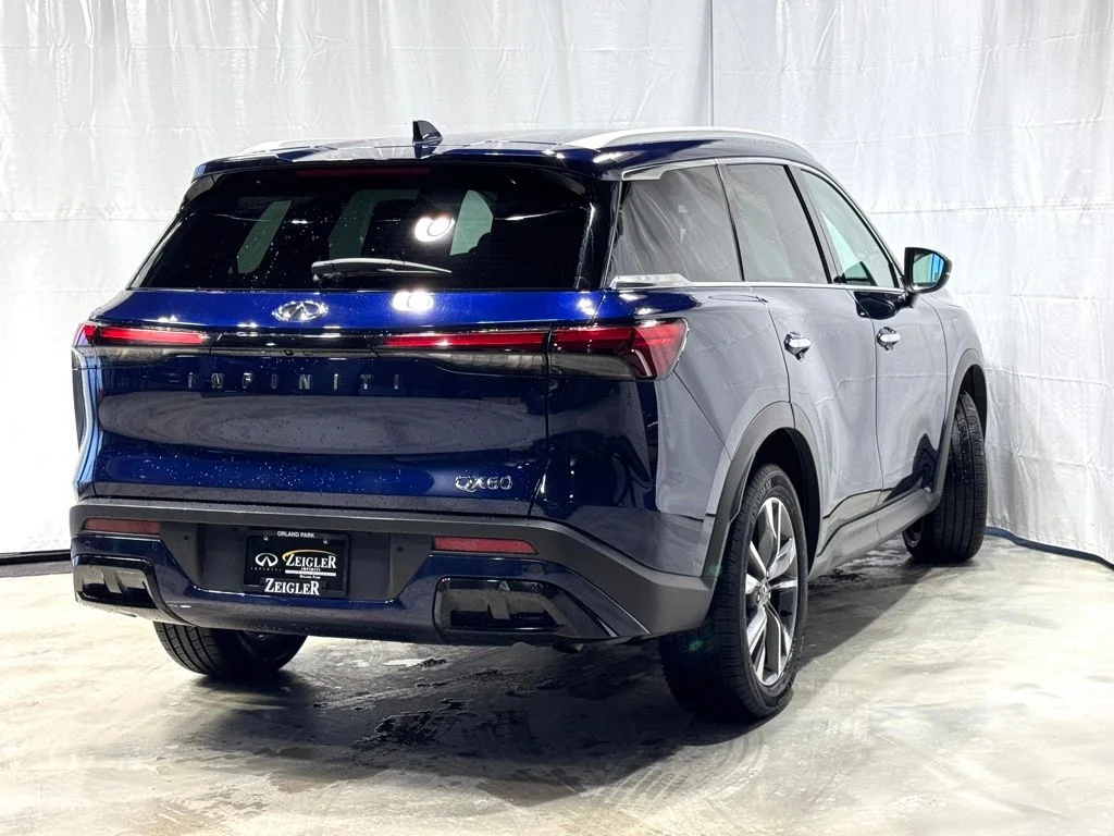 2024 INFINITI QX60 LUXE - Photo 6