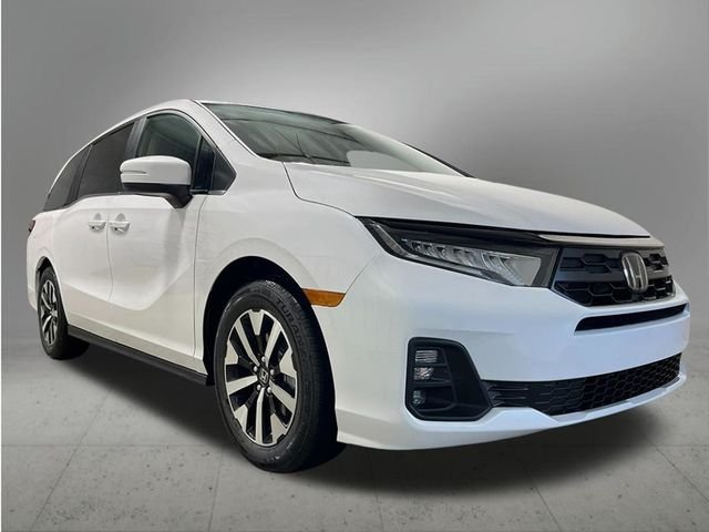 New 2027 Platinum White Pearl Honda EX-L image 8